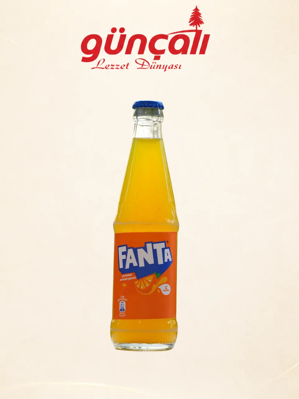 Fanta ürün görseli 2